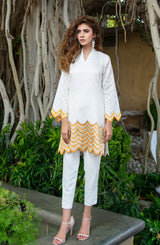 Yellow ochre - Natasha Kamal